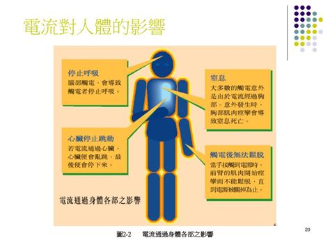 高壓電對身體的影響|世界衛生組織「居家環境電磁場」說明 典型居家環境與自然環境。